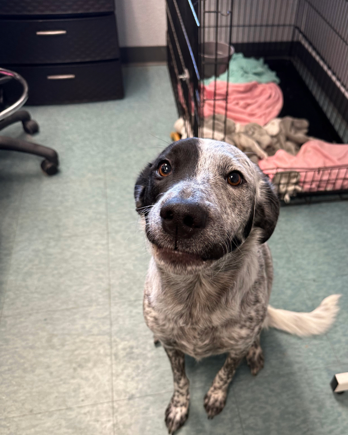 Adobe Express - file (16)