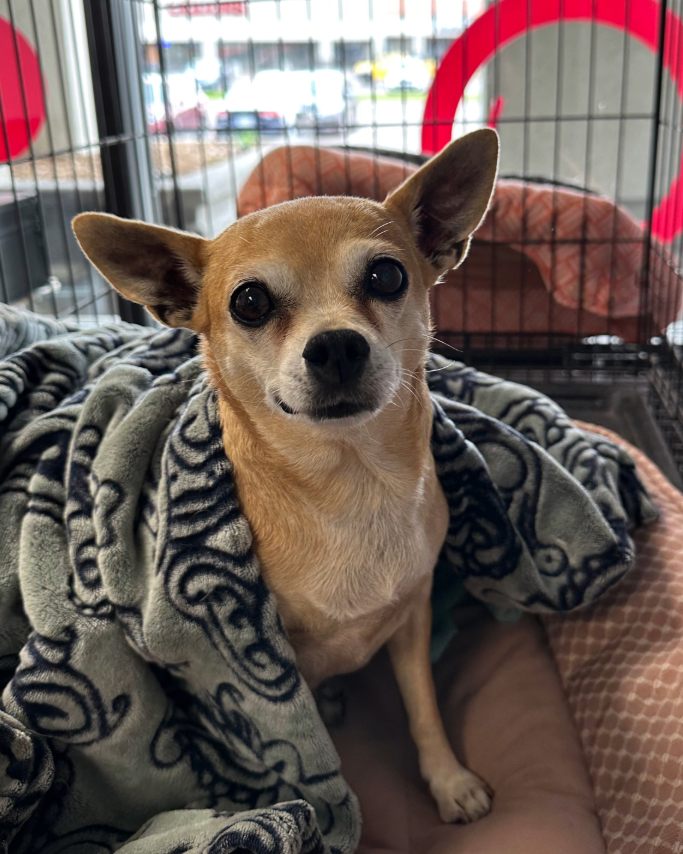 Adobe Express - file (17)