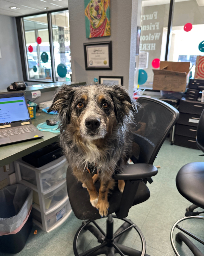 Adobe Express - file (19)